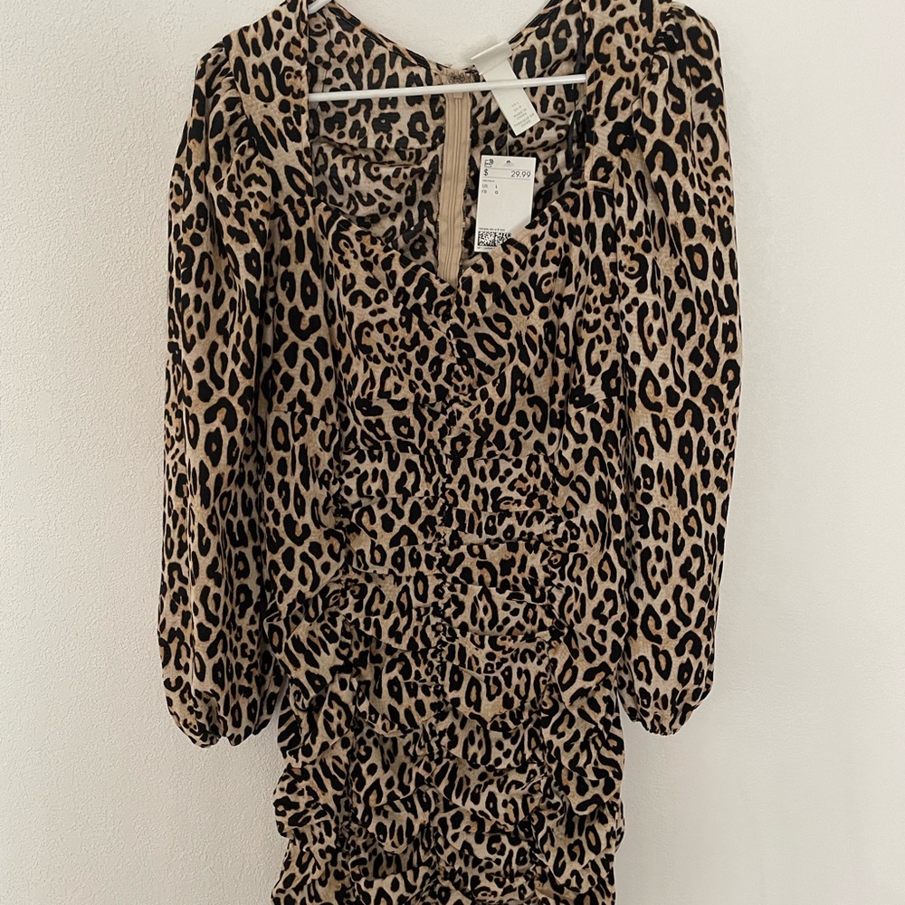 H&M Cheetah Print Dress